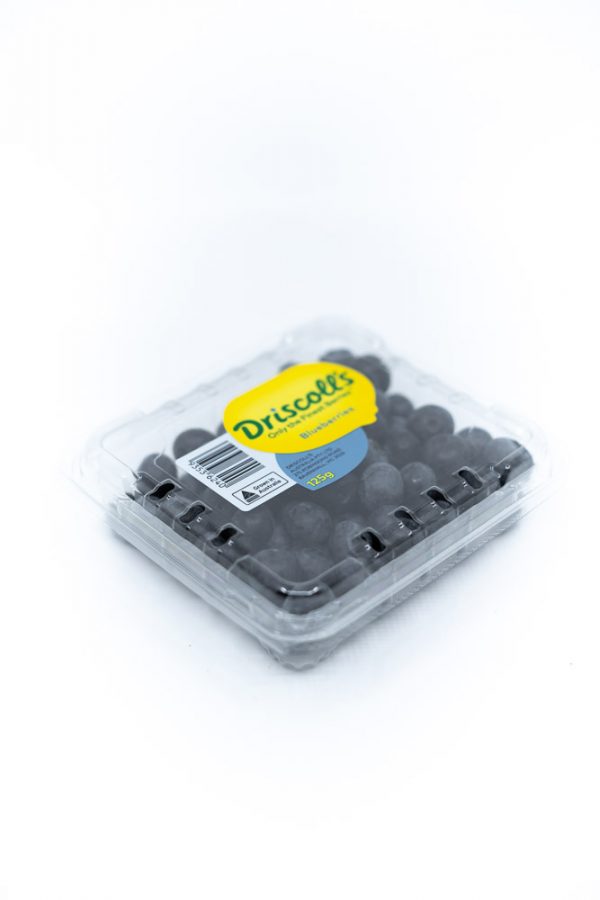 Jumbo Blueberries
