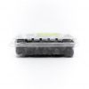 Jumbo Blueberries - Image 2