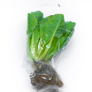 Twin Pack Baby Cos Lettuce