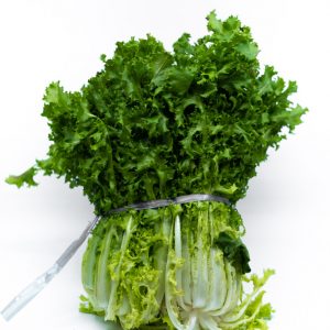 Endive